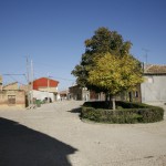 Amusco