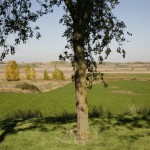 Amusco paisaje